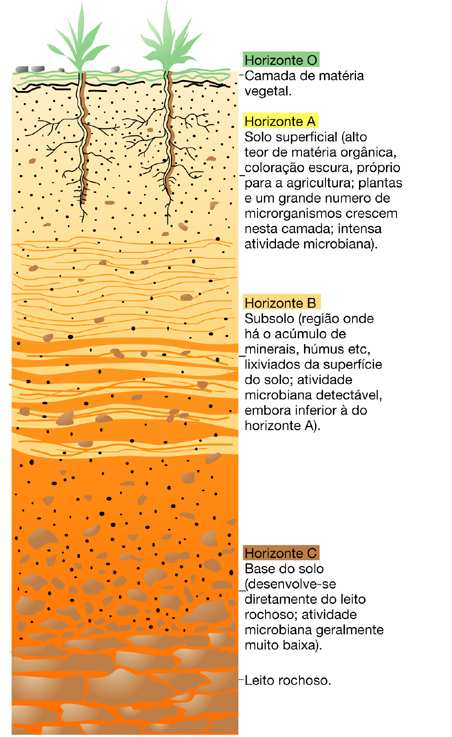 Definição: Em agricultura e geologia, solo é a camada que recobre as rochas, sendo constituído de proporções e tipos variáveis de