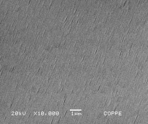 Na superfície externa das fibras, foi possível a observação de poros em todas as membranas a partir de resoluções de imagens de 1000x.