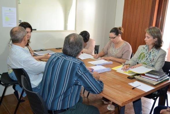 Relatório Anual de 2013 de Participação da CEP - Comissão de Exercício Profissional CAU/MS A CEP - Comissão de Exercício Profissional