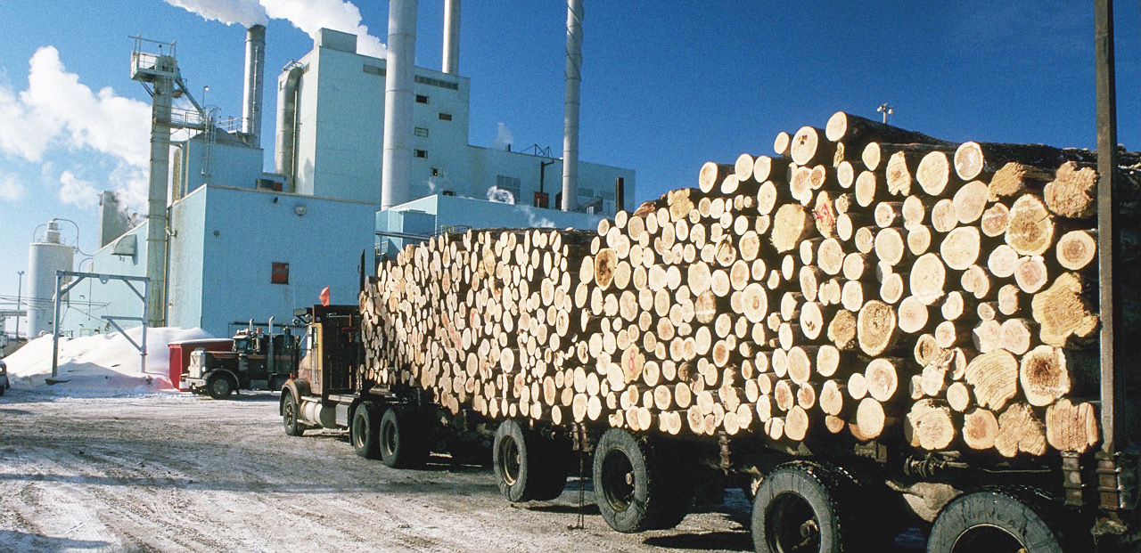 NOTÍCIAS - DESEMPENHO DO Brasil exporta US$ 6 bilhões em celulose, papel e painéis de madeira nos onze primeiros meses de 2016 AIndústria Brasileira de Árvores (IBÁ) concluiu a análise do setor