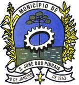 INSTRUÇÃO NORMATIVA Nº 02/2008 Dispõe sobre as normas gerais para realização de despesas no âmbito desta Câmara Municipal e dá outras providências.