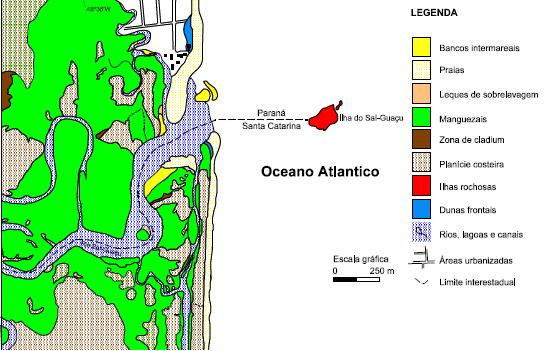 Seguindo à montante observa-se a ocorrência de manguezais nas margens do Rio Saí Guaçu, tendo como espécie dominante a siriúba, (Avicennia schaueriana), além do mangue-de-cortume (Languncularia