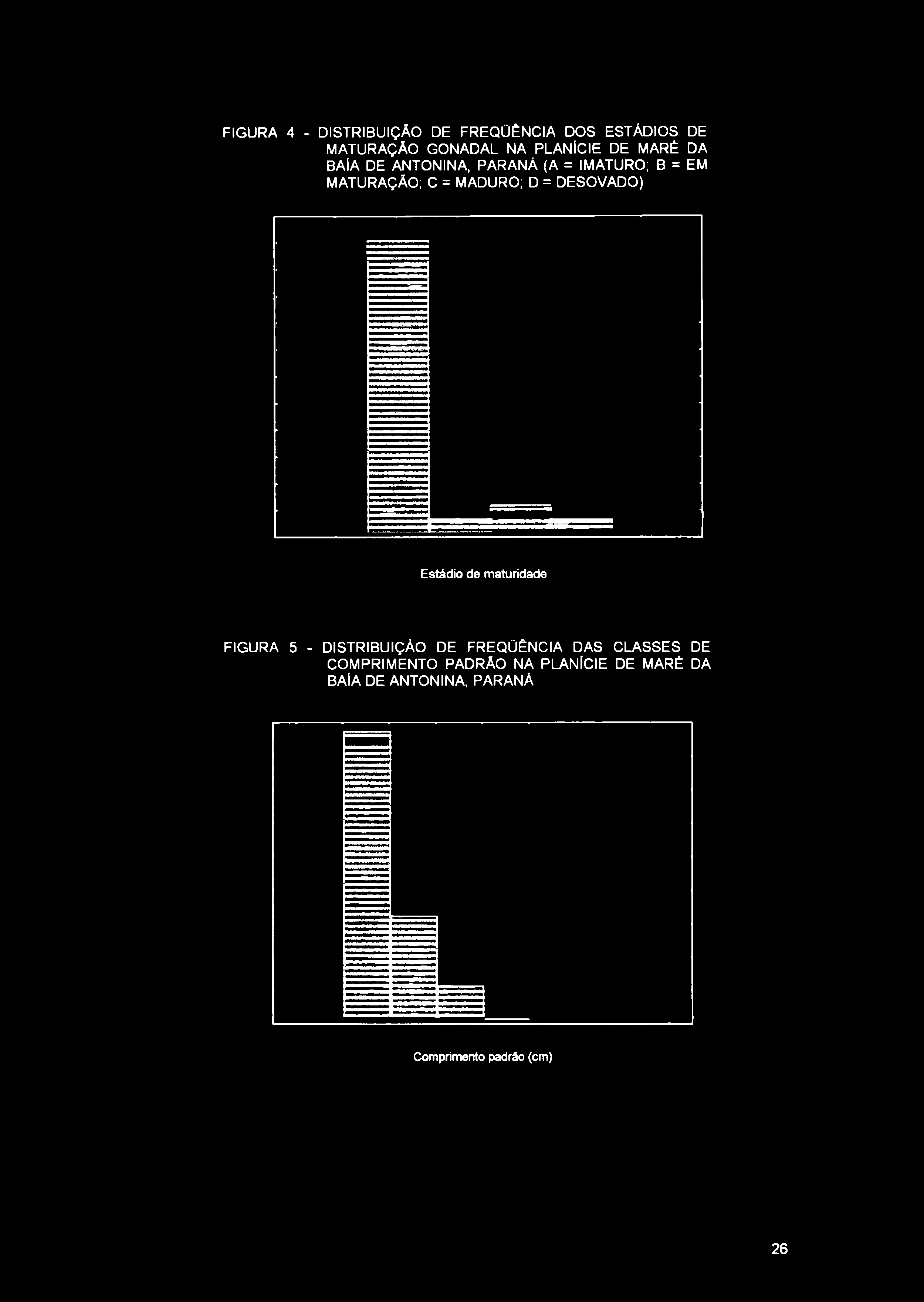DESOVADO) Estádio de maturidade FIGURA 5 - DISTRIBUIÇÃO DE FREQÜÊNCIA DAS CLASSES DE