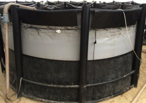 de altura do nível da água. Os tanques são circulares, de PEAD e lona preta, da marca Sansuy (Figura 4).