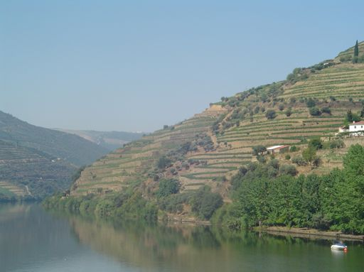 Declive superior a 30%: - 56% do total das vinhas da Região do Douro - 71% no Alto Douro