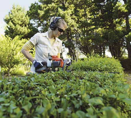 O modelo 327HE4x permite poda em vegetação elevada, alcançando até 3 metros do chão.