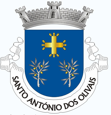 do mesmo. «COIMBRA - SANTA CRUZ». Escudo de azul, cruz de ouro glandada de doze peças do mesmo e dois ramos de oliveira de prata, frutados de ouro, postos em pala, tudo alinhado em roquete.