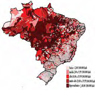 Introdução 25 B. Detecção Em 2010, no Brasil, foram notificados 34.