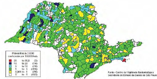 Introdução 30 O Gráfico abaixo mostra a mudança do perfil epidemiológico ocorrido no Estado de São Paulo em 11 anos, mesmo se tendo conhecimento da existência de áreas silenciosas, ou seja, locais