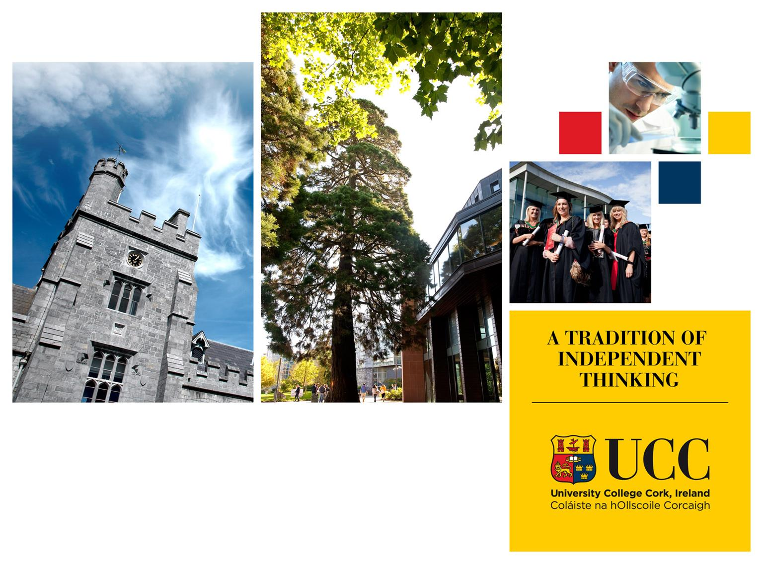 University College Cork UMA