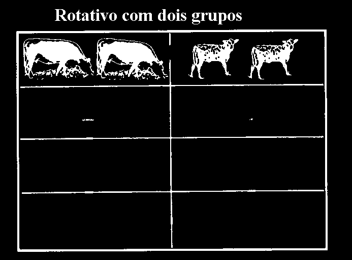 VARIAÇÕES DA COM DOIS GRUPOS DE ANIMAIS VARIAÇÕES DA COM DOIS GRUPOS DE ANIMAIS Também chamado de pastejo