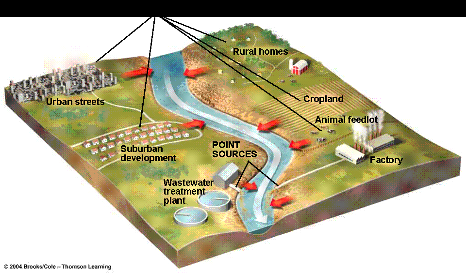 Gestão de Águas Residuais Poluição da água: qualquer acção humana que condiciona a utilização da água para os fins a que se destina.