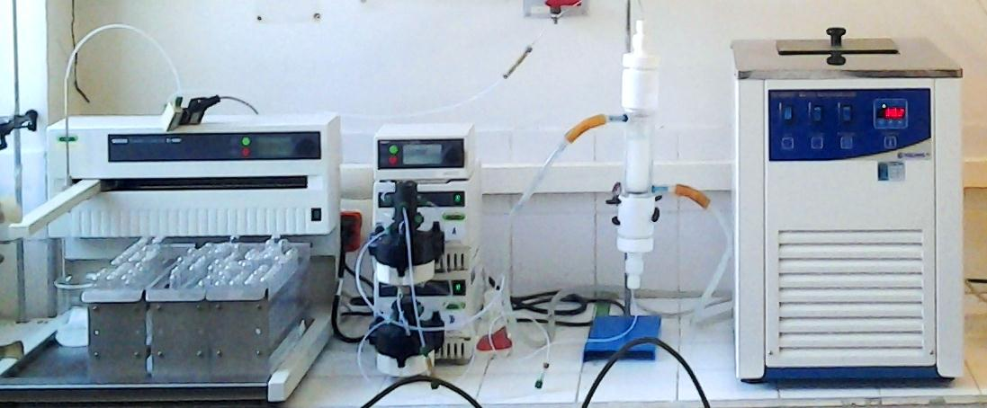 conversão do glicerol resultante da produção de biodiesel, foi utilizado o sistema experimental representado na Figura 3.2. Figura 3.2 Sistema experimental para ensaios em Leito Fixo.