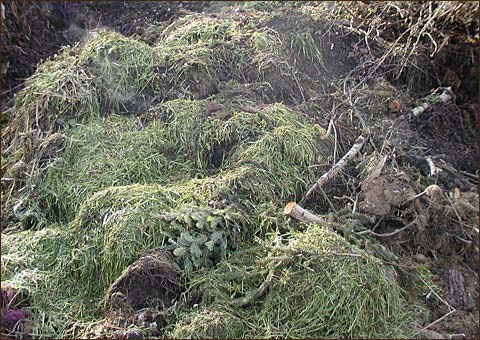 Arejamento da unidade de compostagem; Humidade presente nos materiais; Temperatura ambiente; Proporção carbono/azoto dos materiais; Granulometria do conjunto dos materiais; ph da unidade de