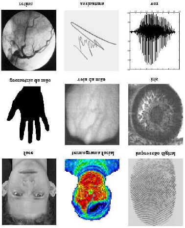 15 CAPÍTULO 1 - REVISÃO BIBLIOGRÁFICA A biometria é o estudo das características físicas dos seres humanos. É por meio dessas características físicas que se pode diferenciar um indivíduo do outro.