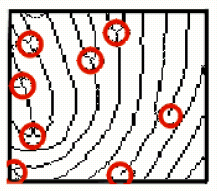 26 é duas bifurcações conectadas em paralelo, em ângulos opostos, com um caminha conectado (HRECHAK et al., 1990).