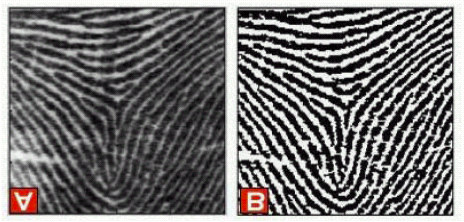 de cinza para imagens binárias (preto/branco) (RATHA et al.,1995).