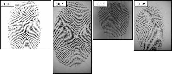 37 formato TIFF, extraídas pelo sensor ótico "TouchView II" da empresa Identix, com tamanho de 388x374 (142 Kpixels) e resolução de 500 dpi, em tons de cinza.