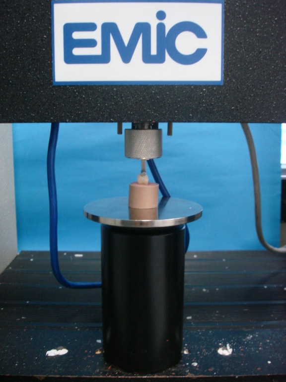 54 4.2.4 Carga de Fratura Os corpos-de-prova foram submetidos ao ensaio de compressão em máquina de ensaio universal EMIC DL 2000 (São José dos Pinhais, PR, Brasil).