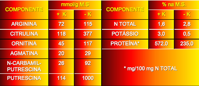 METABOLISMO DO NITROGÊNIO Teores de aminoácidos, aminas, N total, proteínas e potássio