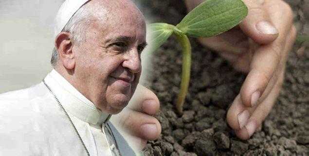 Criação. O Papa Francisco, em agosto de 2015, expressou na encíclica Laudato Si (Louvado Seja), sua preocupação com a casa comum, termo utilizado para se referir ao planeta que habitamos.
