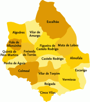 O concelho de Figueira de Castelo Rodrigo é constituído por dezassete freguesias e cinco anexas: Figueira de Castelo Rodrigo que é a sede do concelho, Algodres, Almofala, Castelo Rodrigo, Cinco