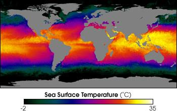 MODIS Sensor a bordo do satélite TERRA desde dezembro de 1999