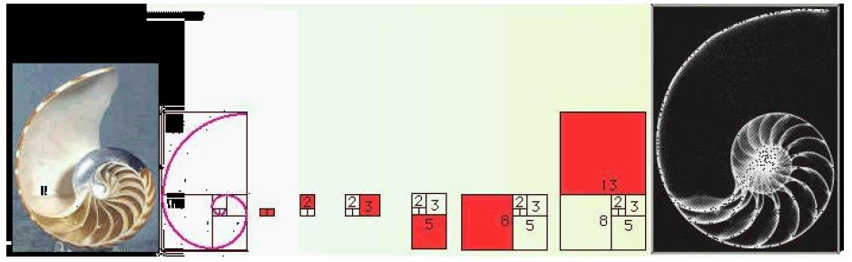 Proporção Áurea associada à Sequência de Fibonacci Ilustração da Espiral