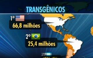 É a maior expansão entre os 25 países produtores de transgênicos, aponta o ranking anual do Serviço