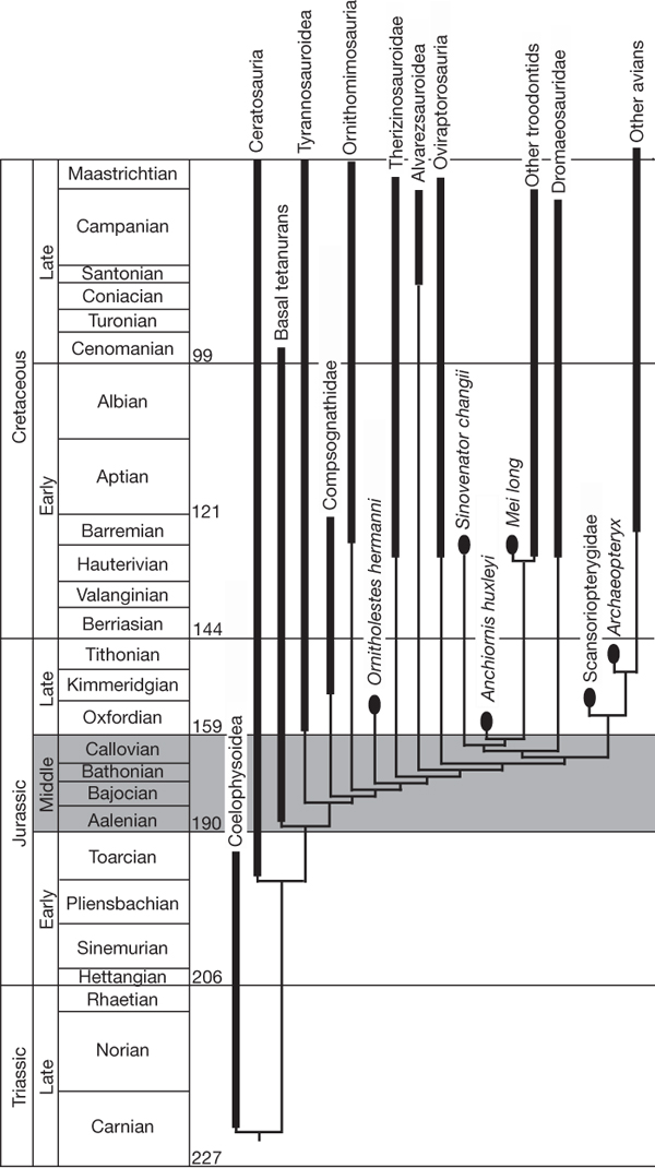 E é precisamente o Jurássico médio um dos intervalos mais enigmáticos da evolução da vida na Terra.