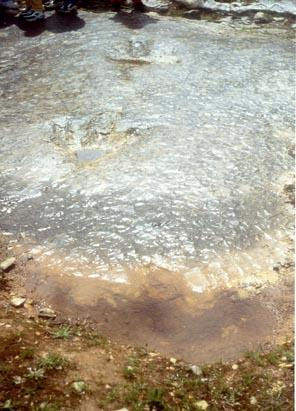 A pista (nº1) surge num estrato de calcário micrítico acinzentado, de planície litoral, do Bajociano - Batoniano. O ângulo de passo ronda os 160º.