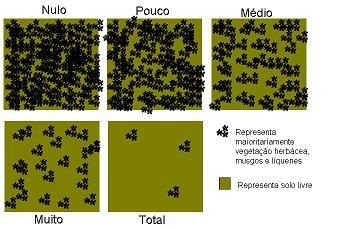 Cobertura do solo Vegetação Quantidade Plantas Vasculares Musgos Líquenes (preencher o campo de quantidade com as seguintes palavras: nulo/ pouco/médio/muito e total) Acidez do solo Para a