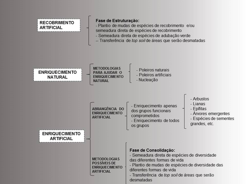 Figura 2 - Fluxograma relacionando metodologias e ações de restauração com a presença ou não de regeneração natural.