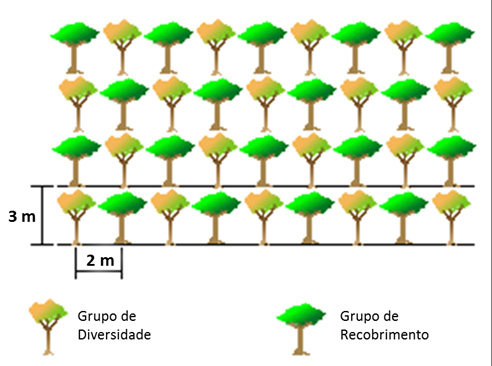 2.5 MÉTODO ALTERNATIVO: RECOBRIMENTO E ENRIQUECIMENTO EM ÁREA ABERTA (FASE DE ESTRUTURAÇÃO E CONSOLIDAÇÃO IMPLANTADAS JUNTAS EM ÁREAS SEM RESILIÊNCIA LOCAL E DE PAISAGEM) Divergindo dos métodos