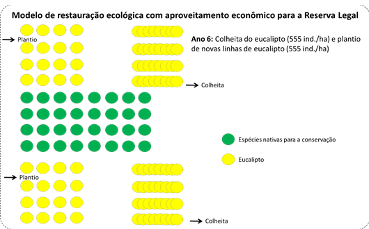 primeiros 12 anos (Figura 11 e Figura 12).