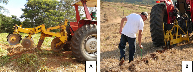 4.3 CONDUÇÃO DA REGENERAÇÃO NATURAL As ações de condução visam propiciar condições para que a regeneração natural possa se desenvolver com os mesmos cuidados de uma muda plantada, recebendo adubação,