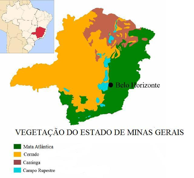 Fig. 01: Distribuição de tipos vegetacionais, no estado de Minas Gerais. (Ferreira & Henry, 20