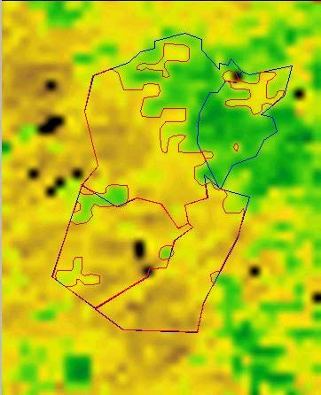 RecifeReceiving Station: NOAA 16 Month NDVI