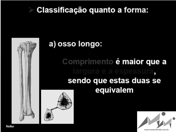 Algumas pesquisas recente já indicam casos de maturação completada aos