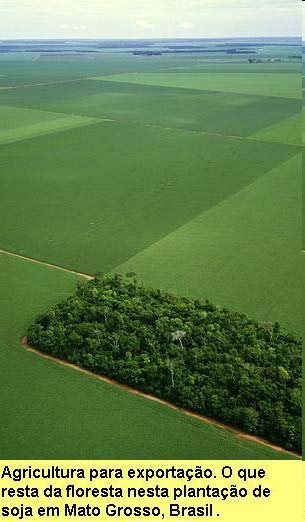 Legislação Ambiental Falta de efetividade