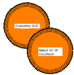 Coenzima Q10 (Ubiquinone) A Coenzima Q10 constitui o primeiro grupo de bloqueio de radicais de oxigênio que surgem como subproduto do metabolismo celular oxidativo em nossas células.