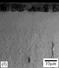 Estudos anteriores (9,10) realizados por difração de raios-x comprovaram que houve a formação de austenita expandida nas camadas PN e PNC investigadas.