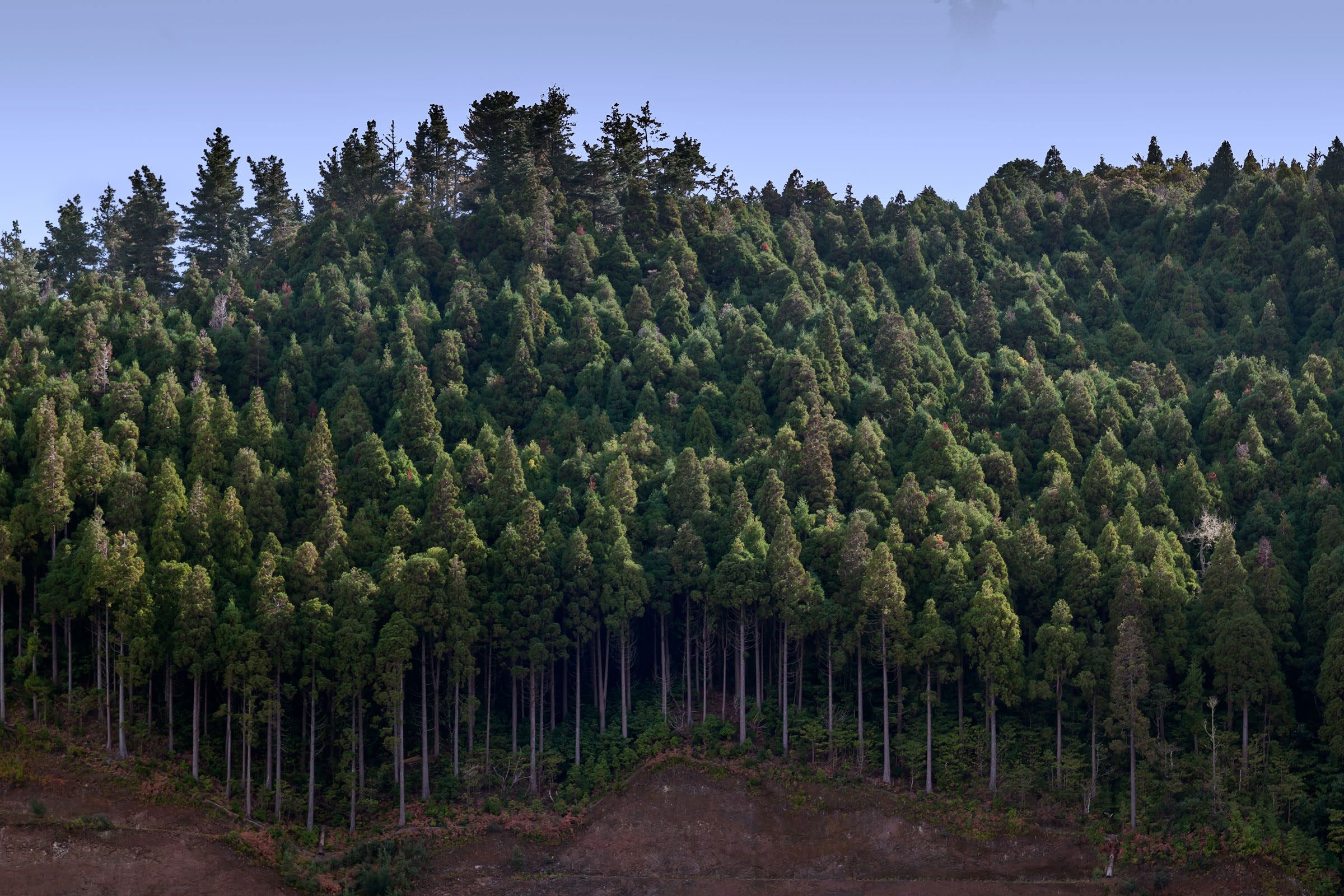 Vista de um dos pontos