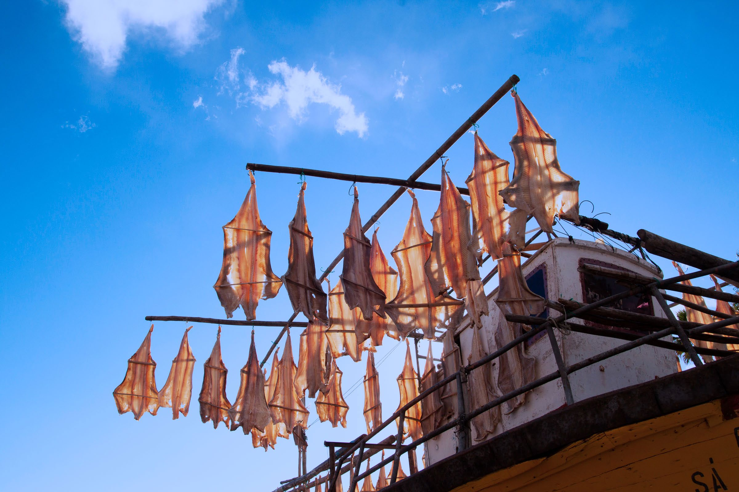 Barco de pesca em