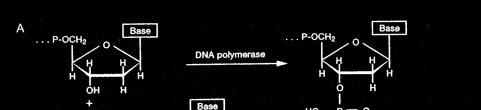 polímeros