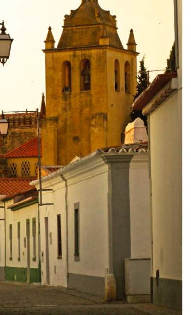 DIA 4 DE MARÇO GESTÃO DO PATRIMÓNIO NO ALENTEJO VIANA DO ALENTEJO VILA NOVA DA BARONIA ALVITO 10h00 Neste segundo dia vamos descobrir o Alentejo mais rural: em Viana do Alentejo, visitamos o