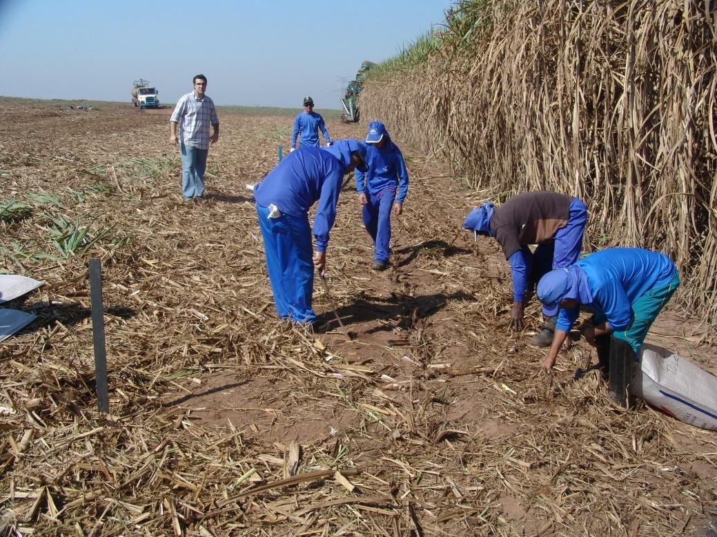 89 Figura 29 - Recolhimento das perdas remanescentes na área