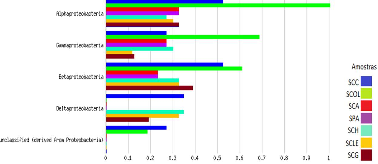 32 Figura 3. Distribuição do Filo Proteobacteria. Os dados foram normalizados para valores entre 0 e 1.