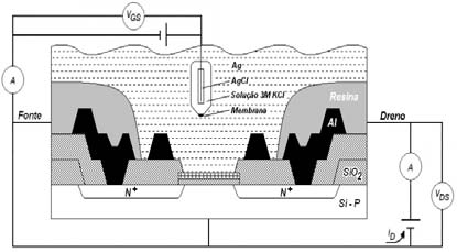 padrão de Ag/AgCl imerso em eletrólito de forma a permitir um potencial fixo que apresentasse estabilidade, reprodutibilidade, e reversibilidades termodinâmica e química.