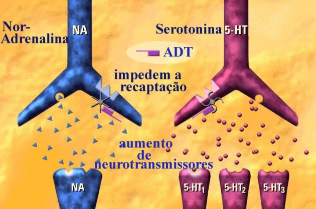 Antidepressivos Tricíclicos Mecanismo de ação